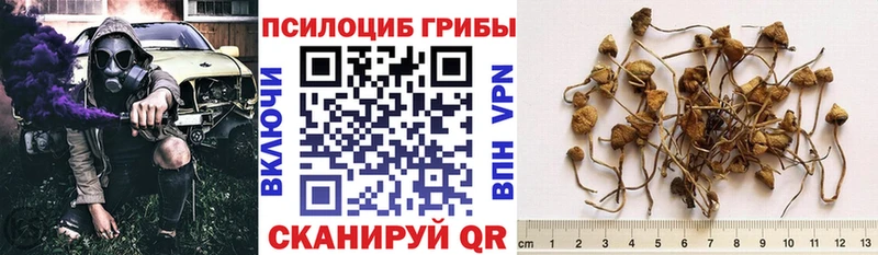 Псилоцибиновые грибы мицелий  Гагарин 