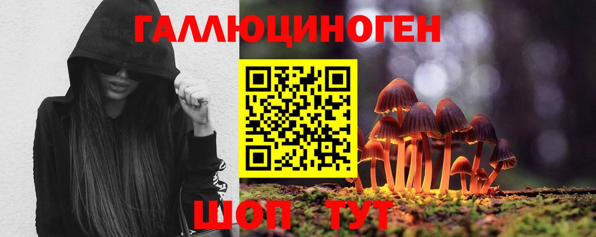 Гагарин  что такое   Вход с VPN  Псилоцибиновые грибы мухоморы 